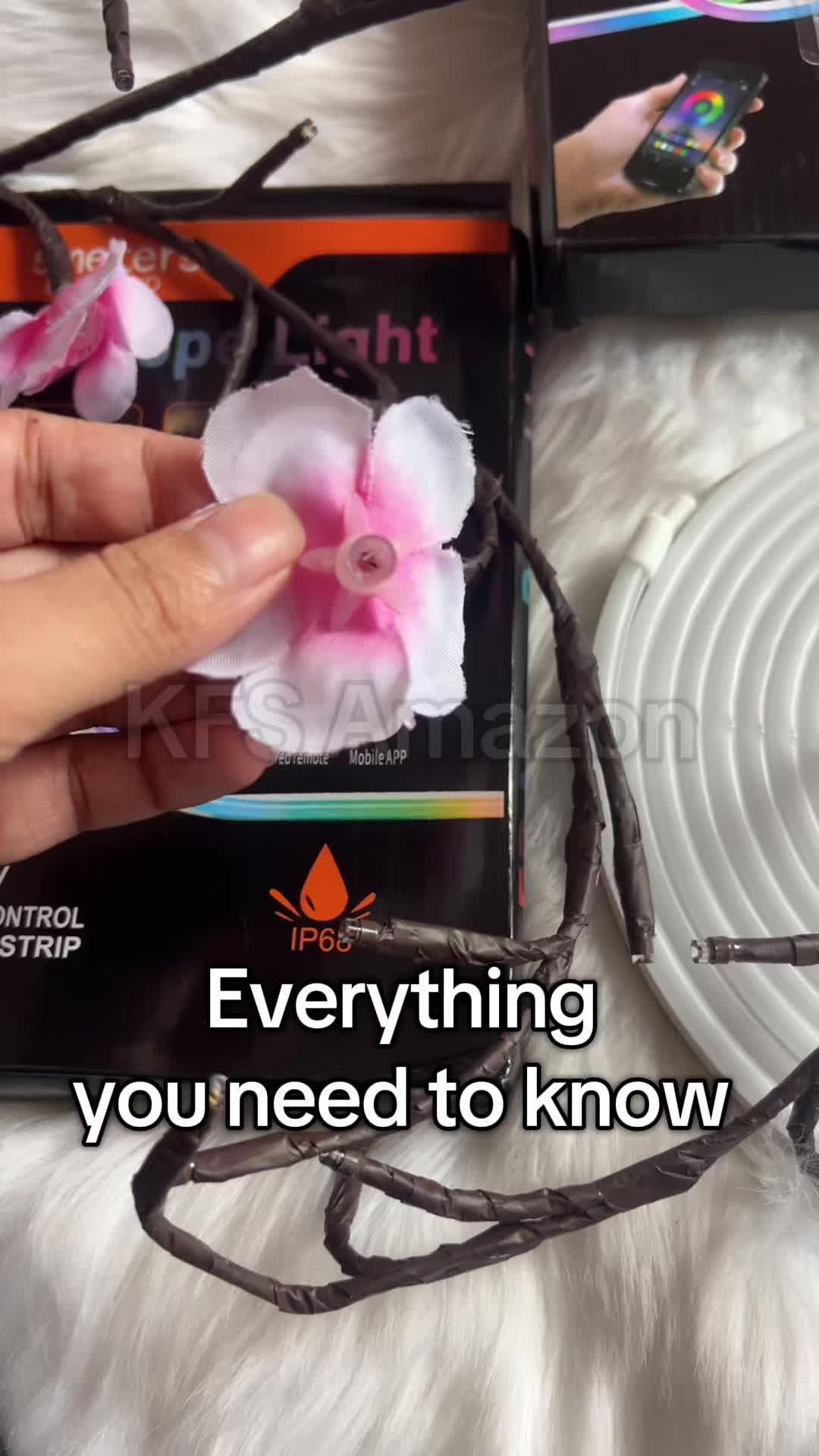 @KFS AmaZon