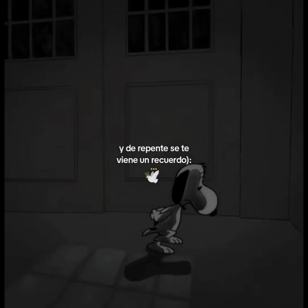 @Gato Cinéfilo Oficial