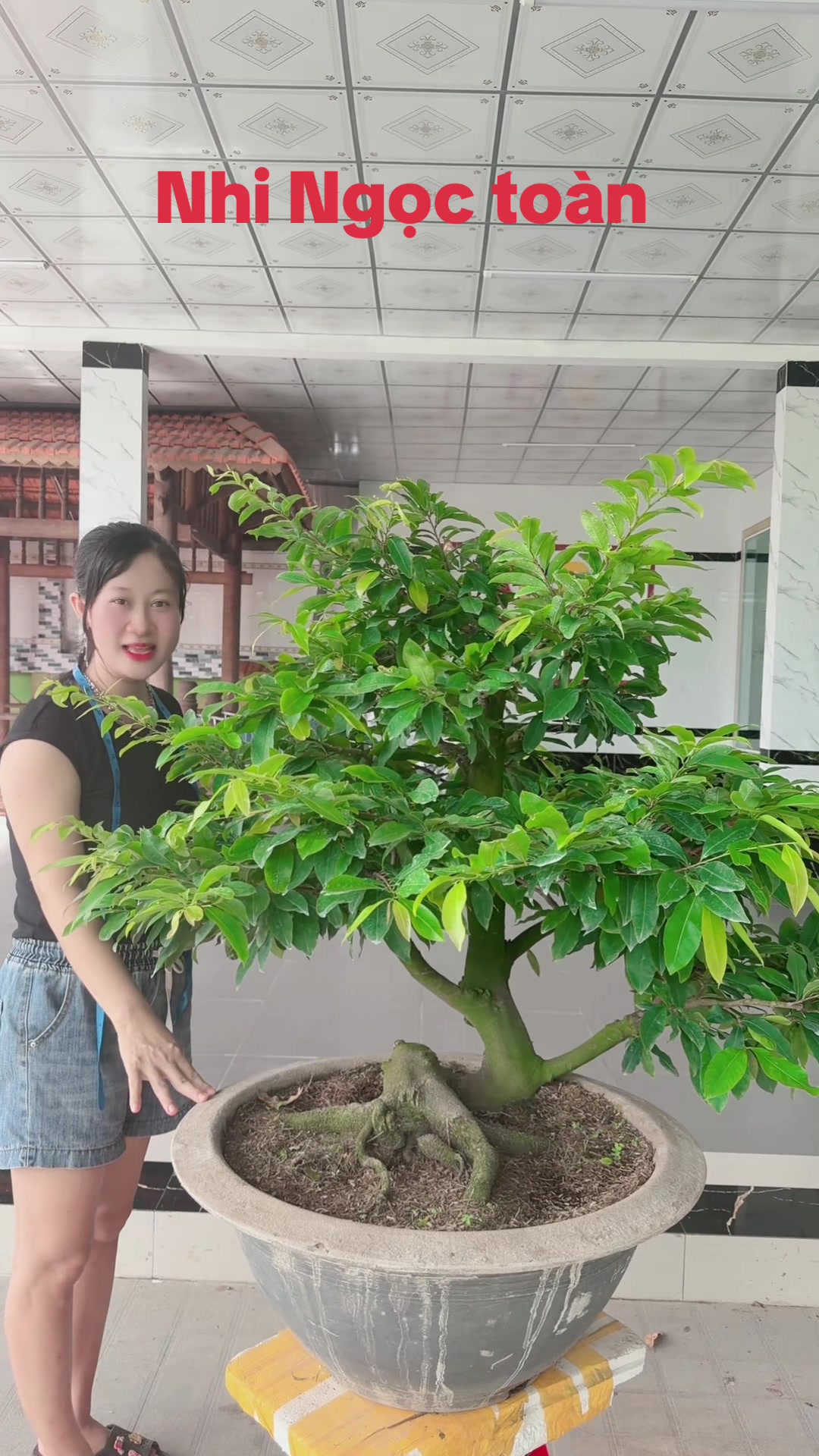 @Chichchoebong79
