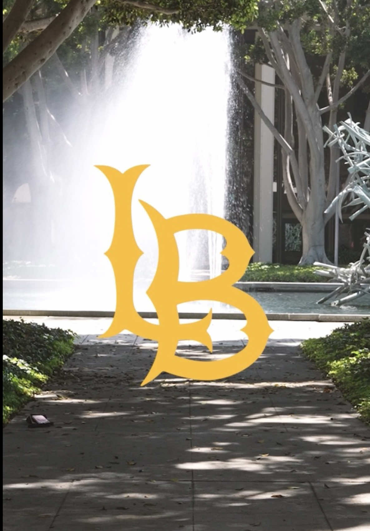@csulbstudent