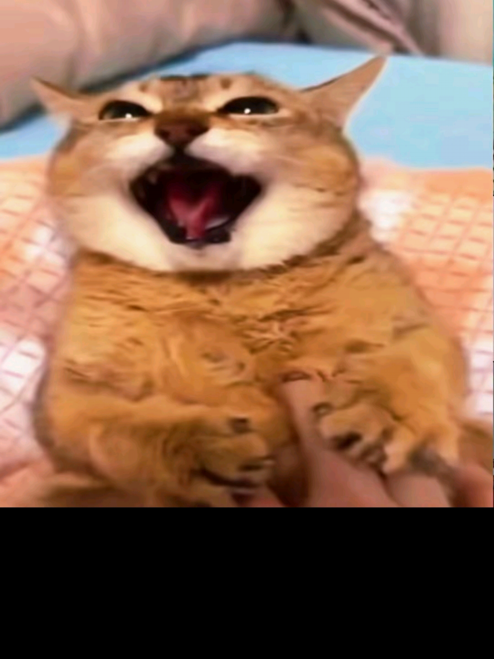 @TᖇᑌᒪY ᑎYᒪ.