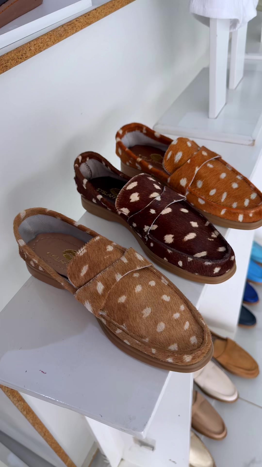 @Zapatos Syslaffitte