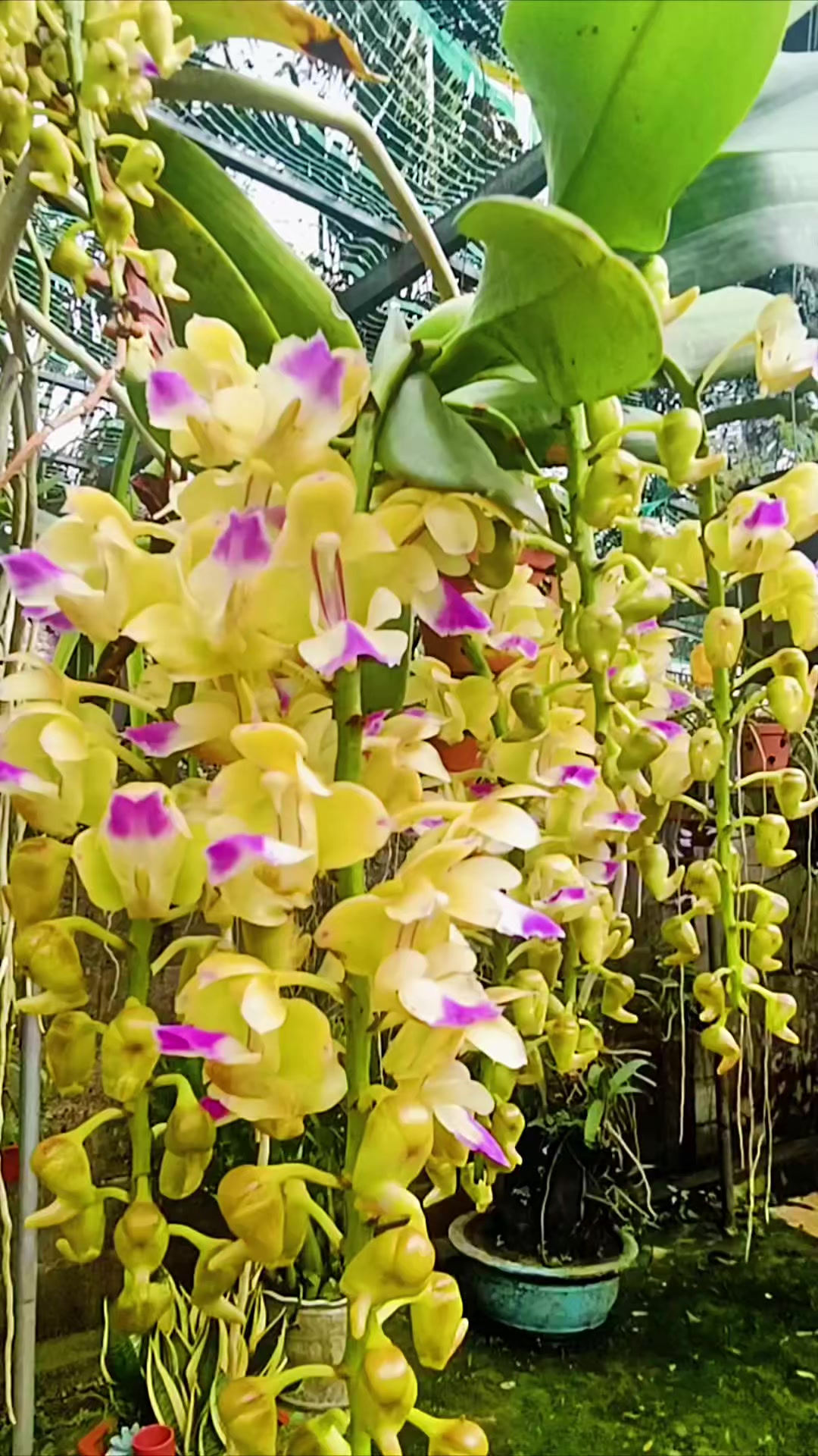 @Hữu.Nguy&ecirc;n 57