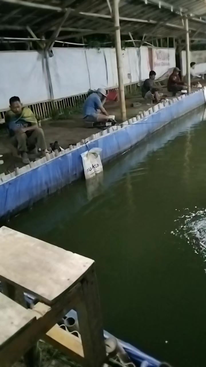 @thochip_09