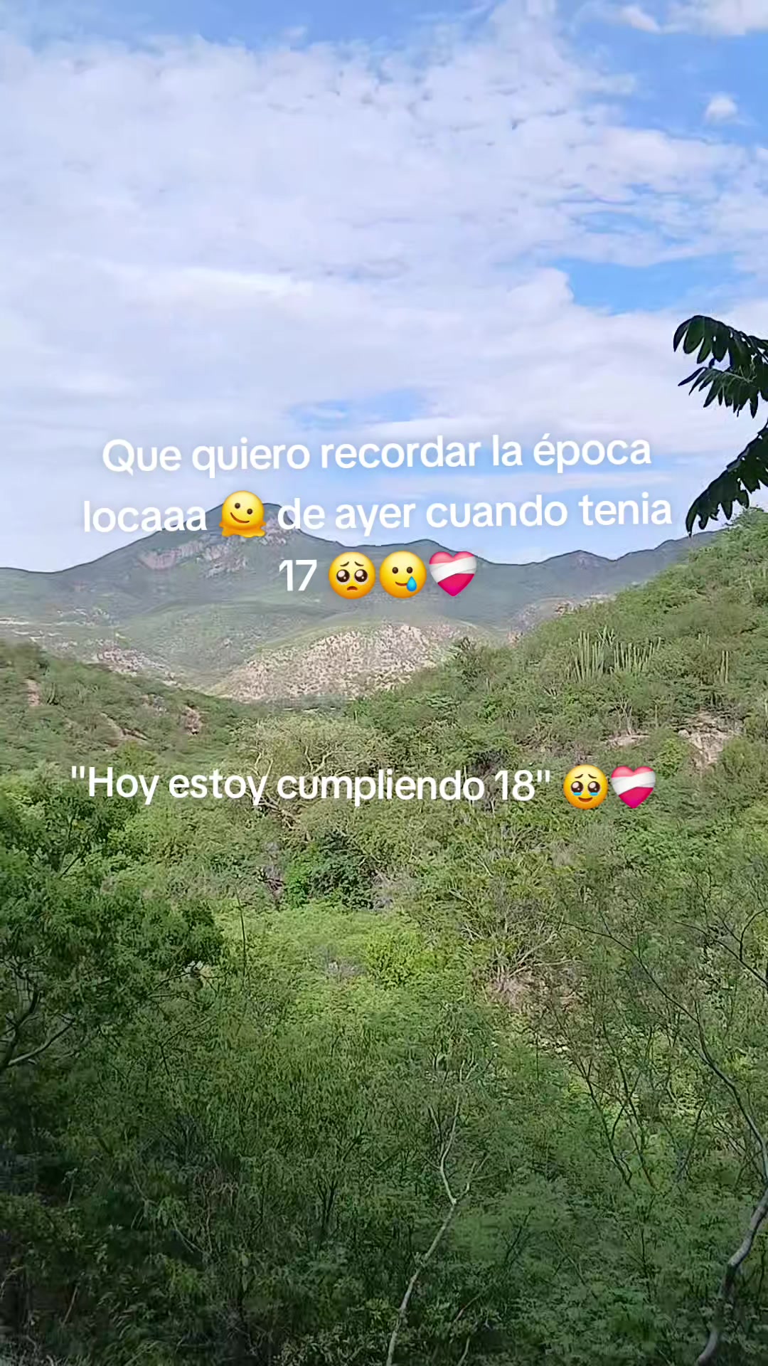 @Brisa Romero 🎀❤️🔥