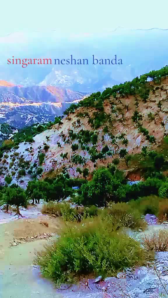 @Dawood Khan 95