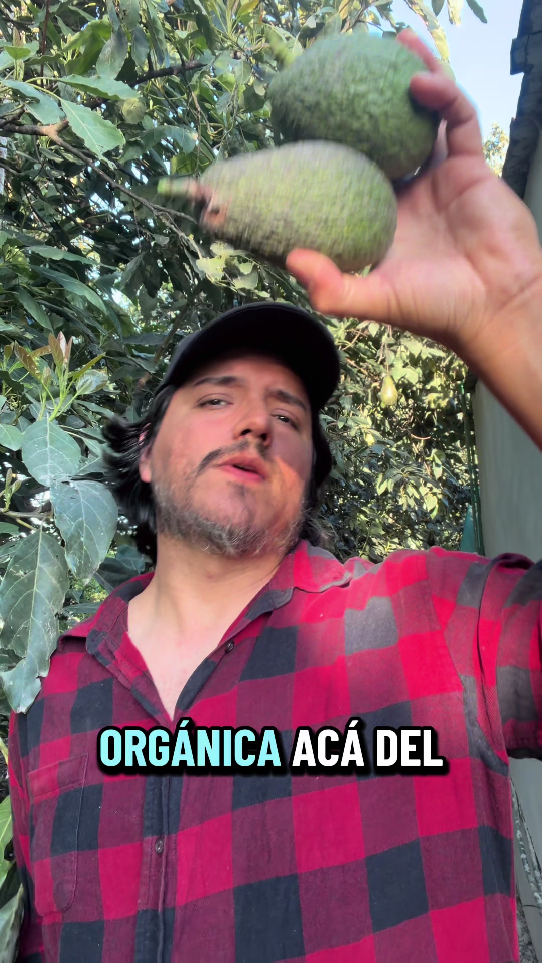 @Mr Kraus 🥑