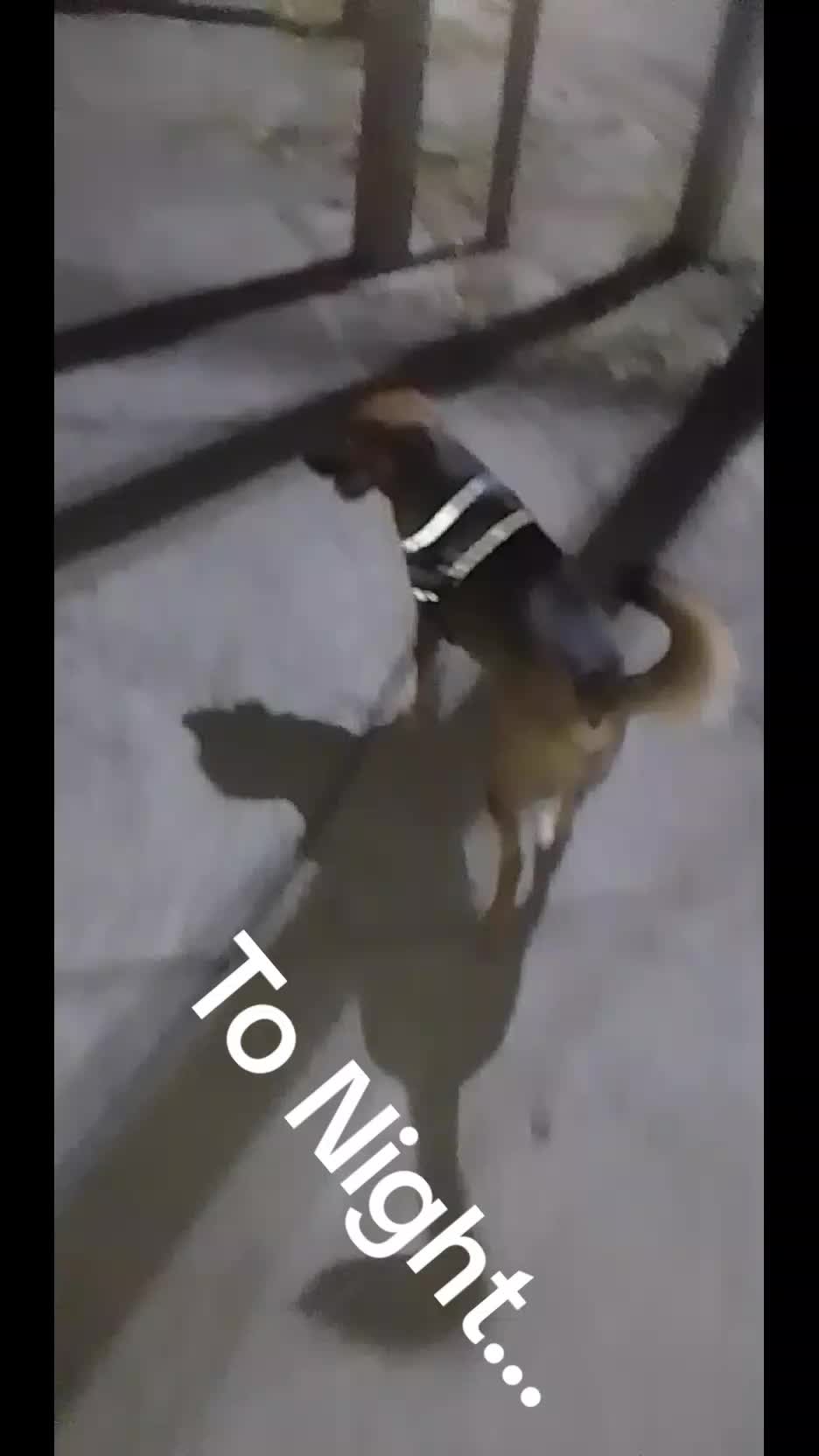 @Bendecido GÓMEZ...