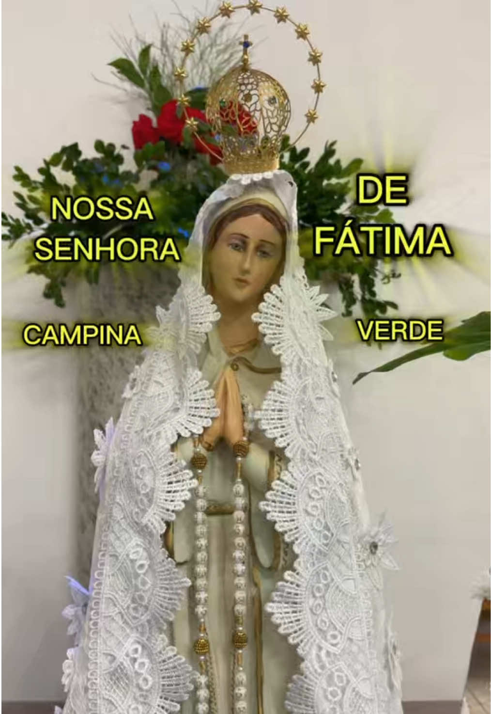 @JDM A NATUREZA EM AÇÃO