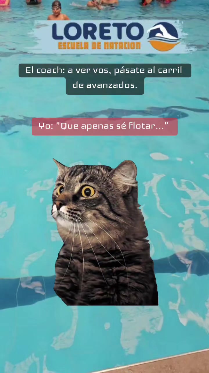@Escuela de NATACION Loreto