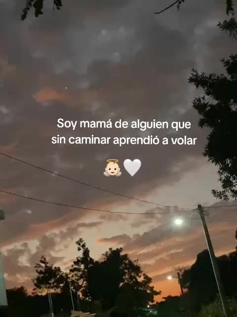 @joana_oficial