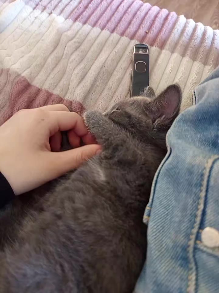 @мать в хату