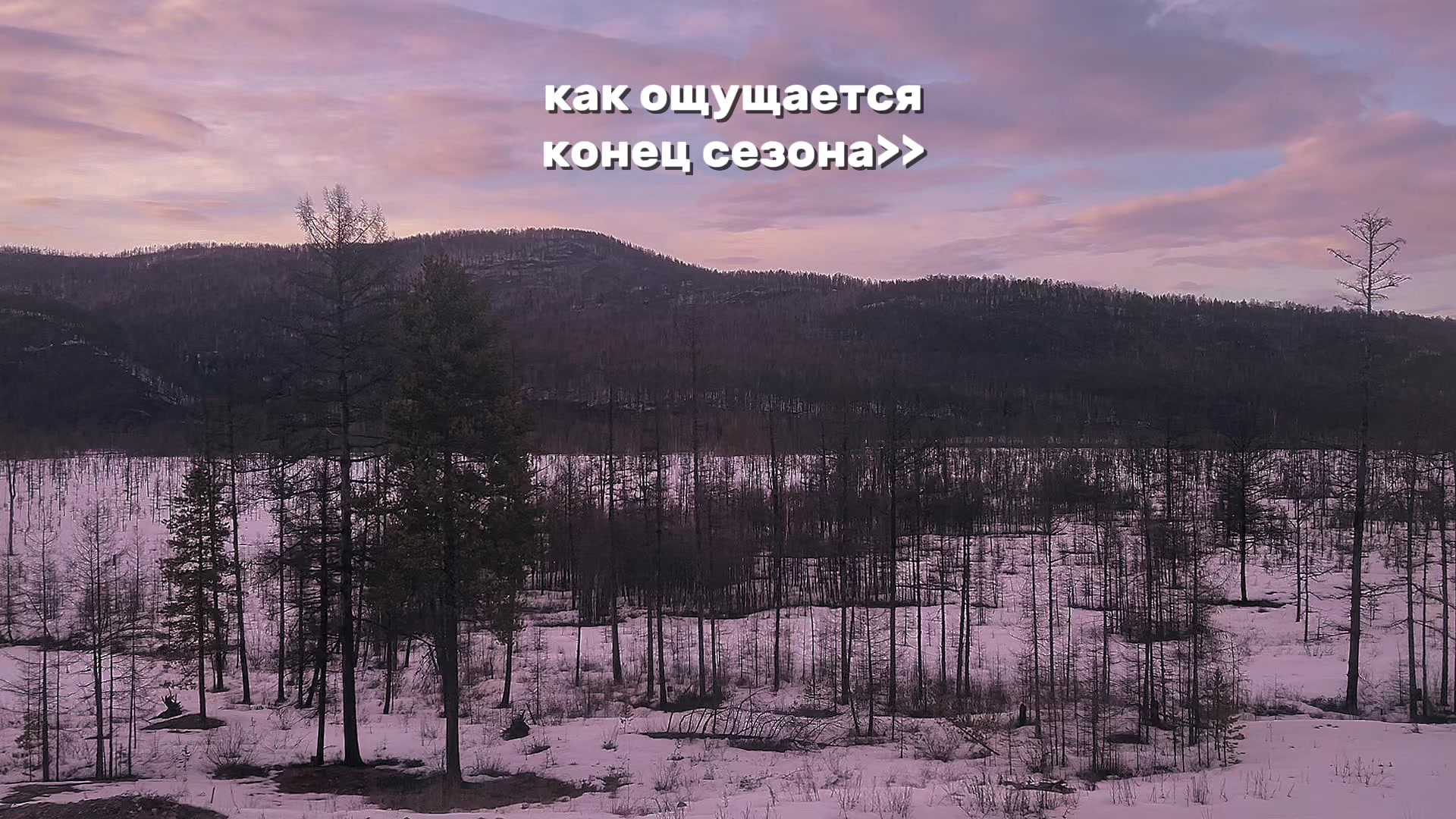 @shlldrin