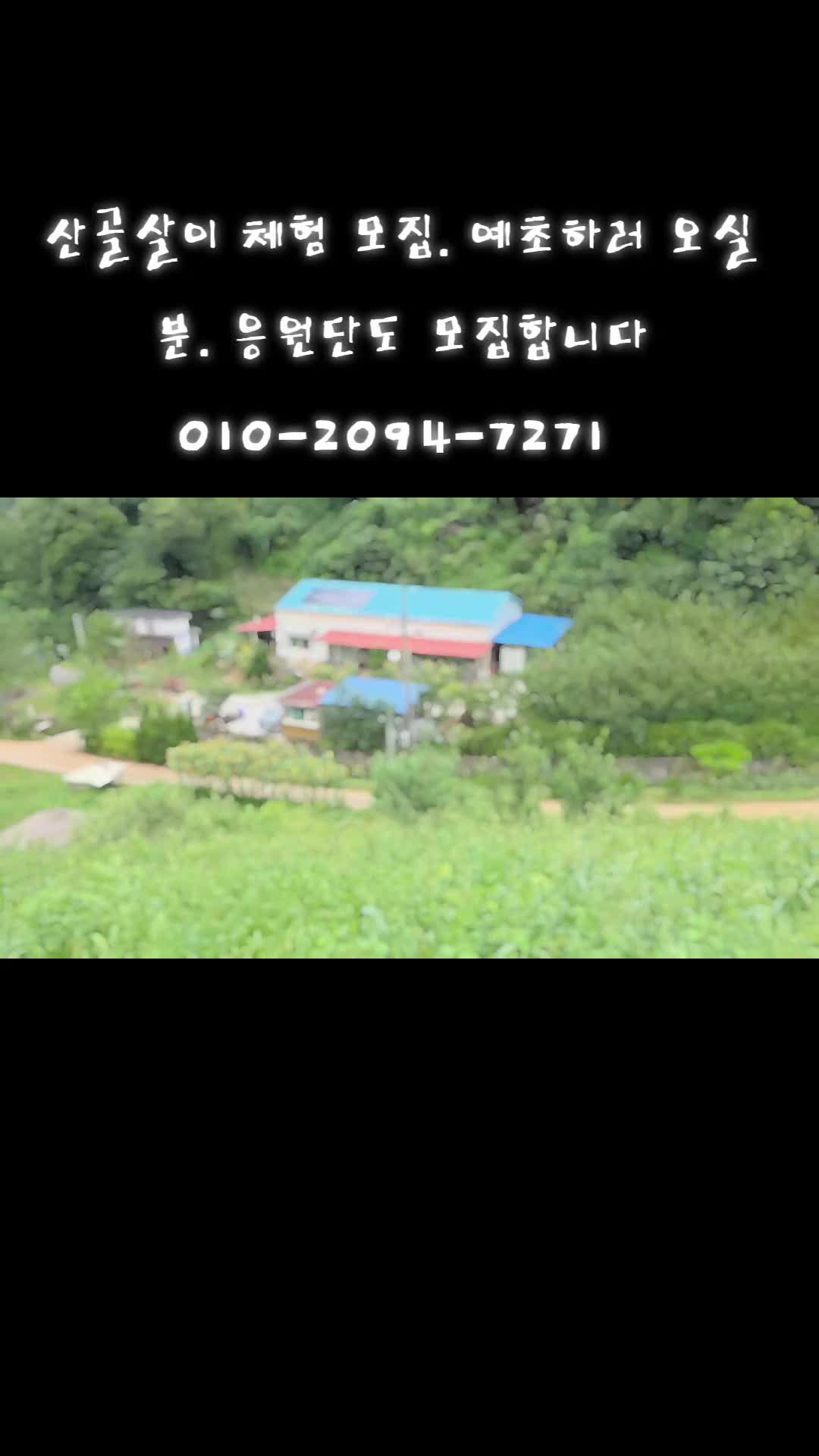 @유튜브 "정선사람들" 안용현