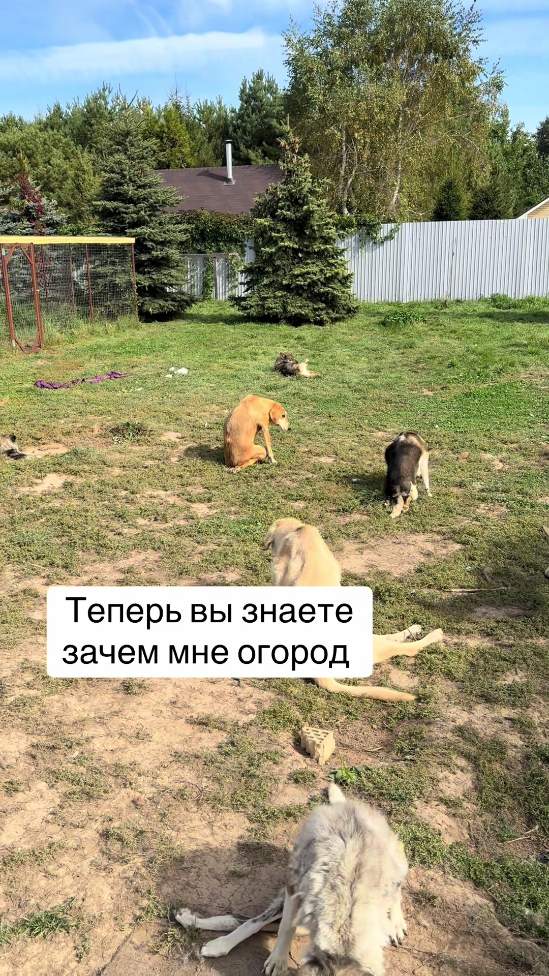 @Анна Алмазова