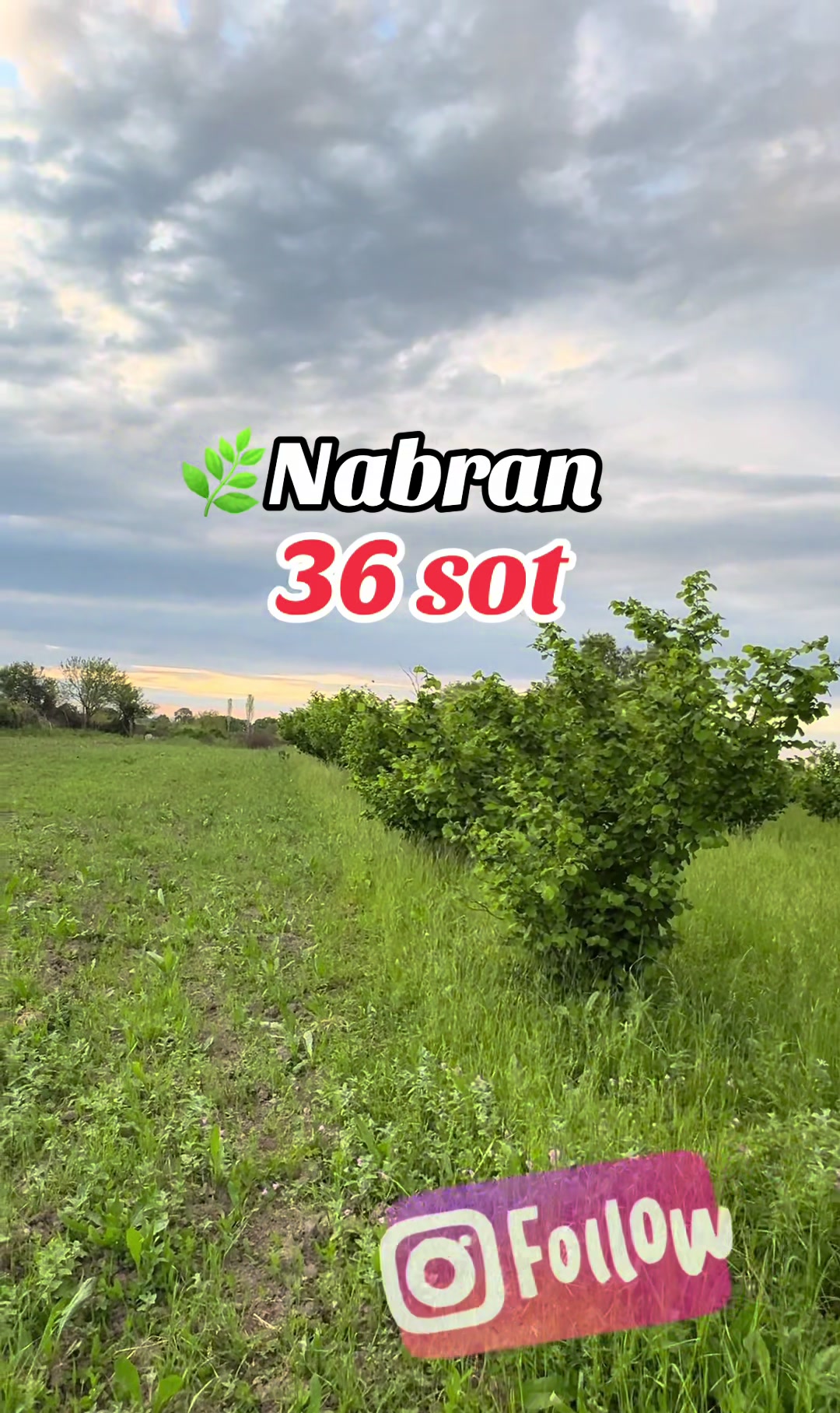 @NABRAN_EMLAK_TURİZM