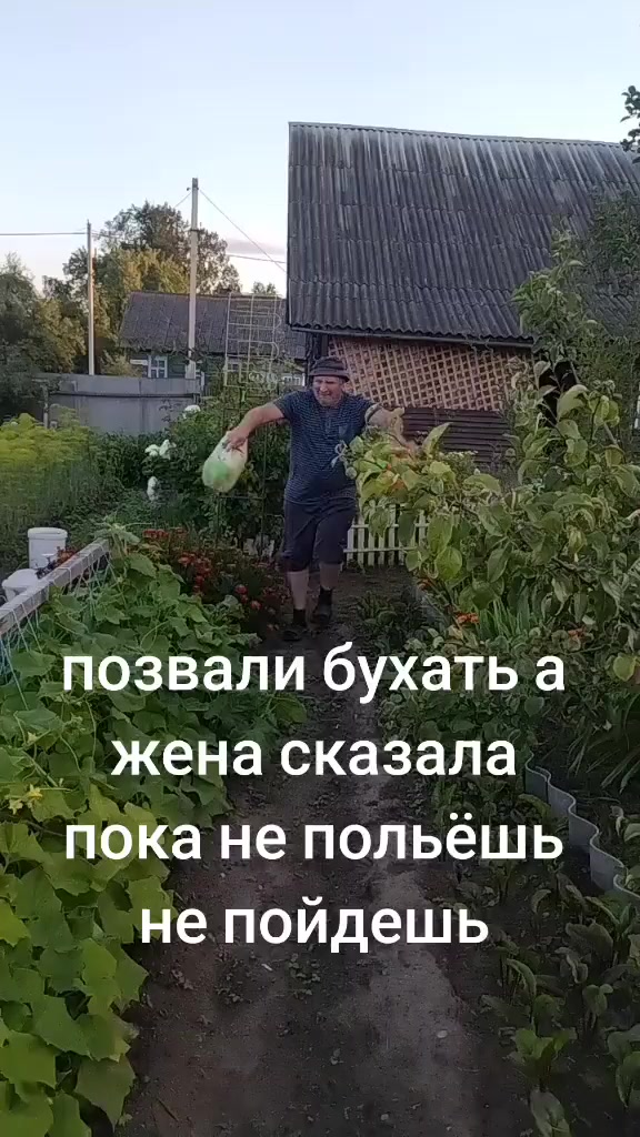 @vadim7111791
