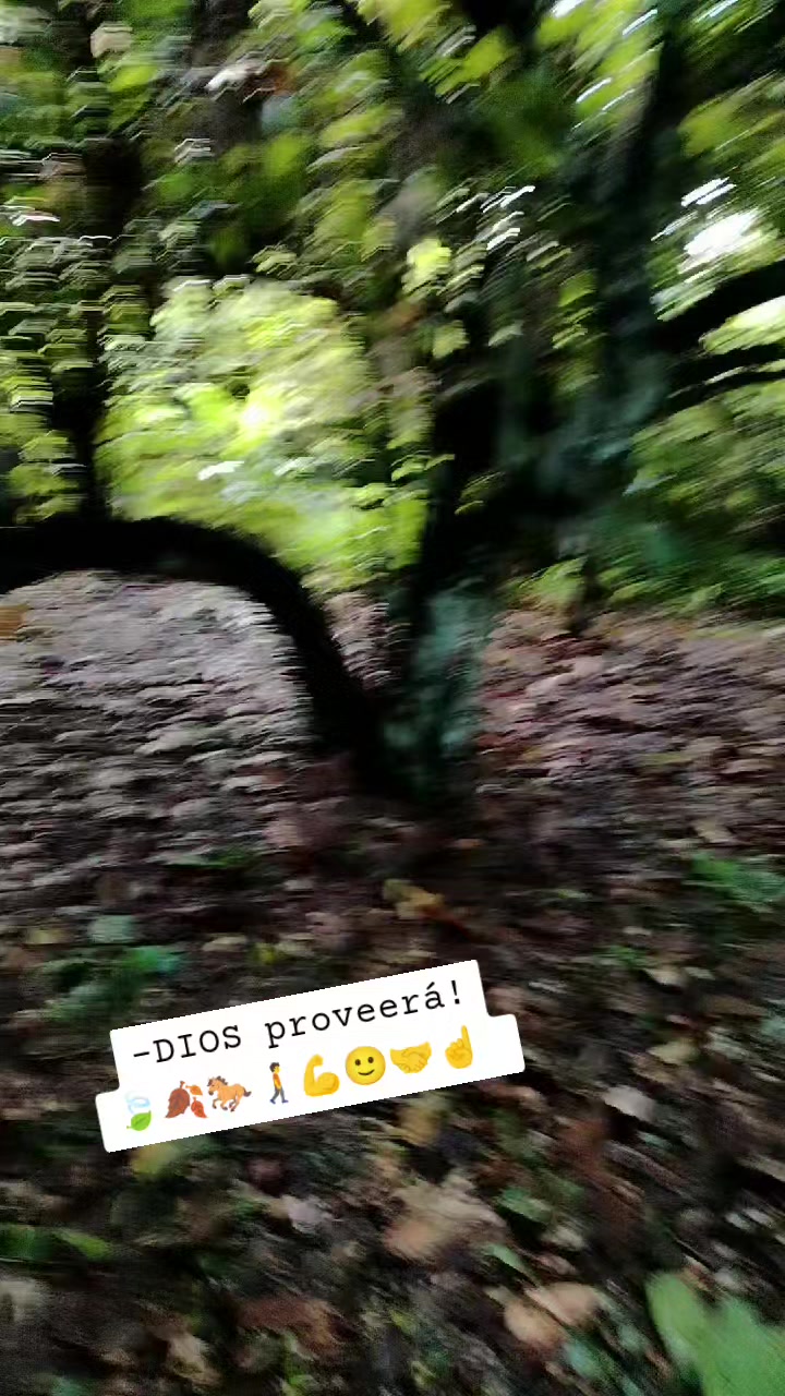 @PONYROJAS