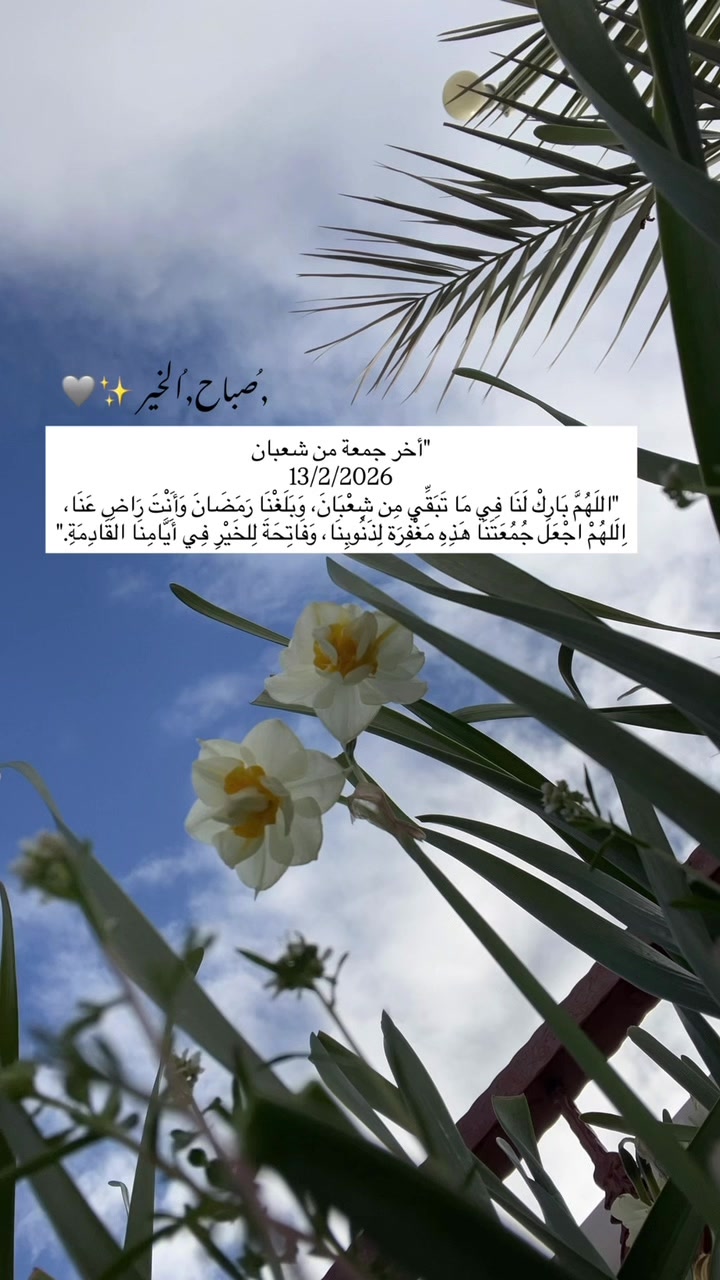 @لحظة الأمل 🫀🤍