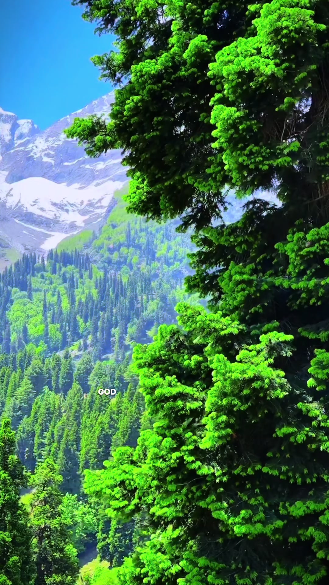 @Lit_byimaan