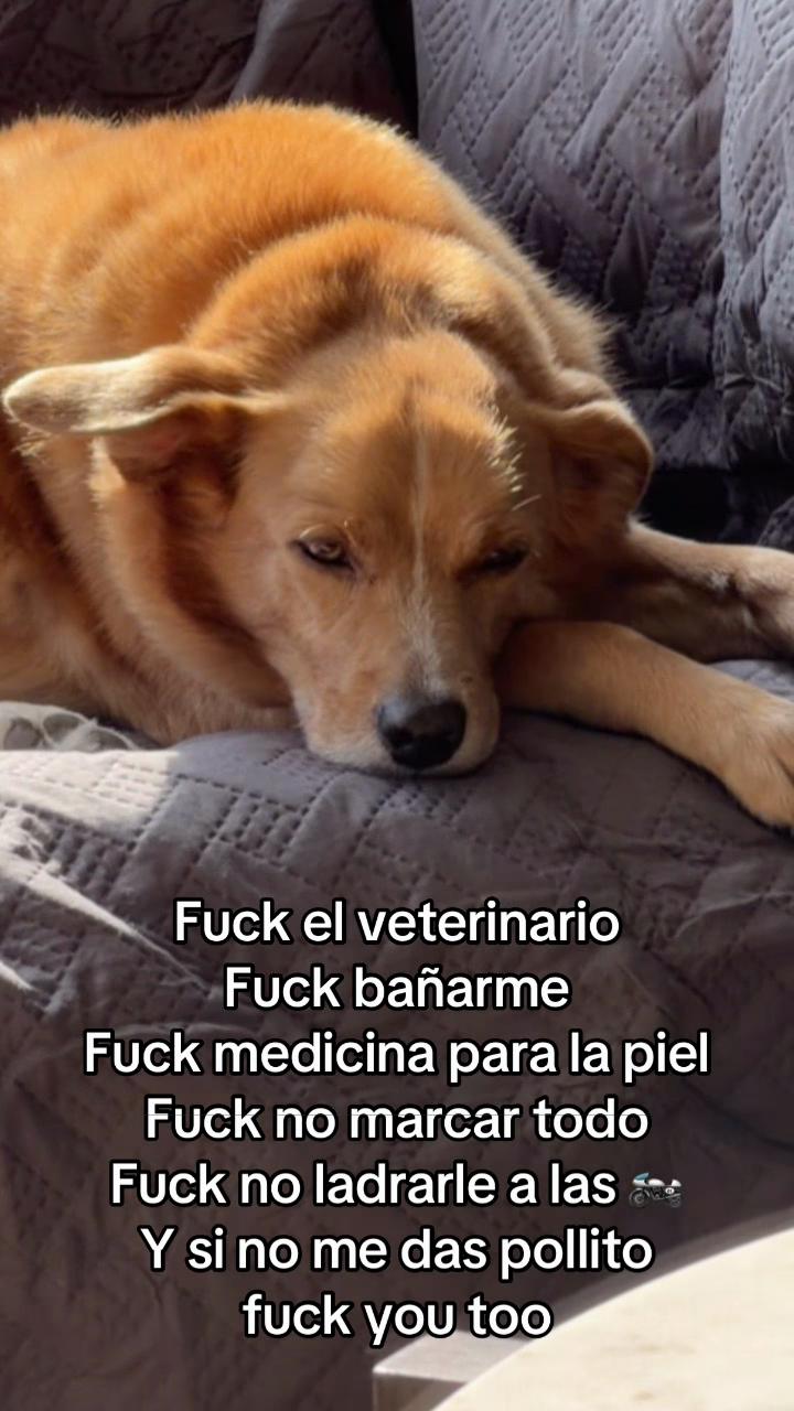 @Diario de Donny🐕 y mami👩🏻