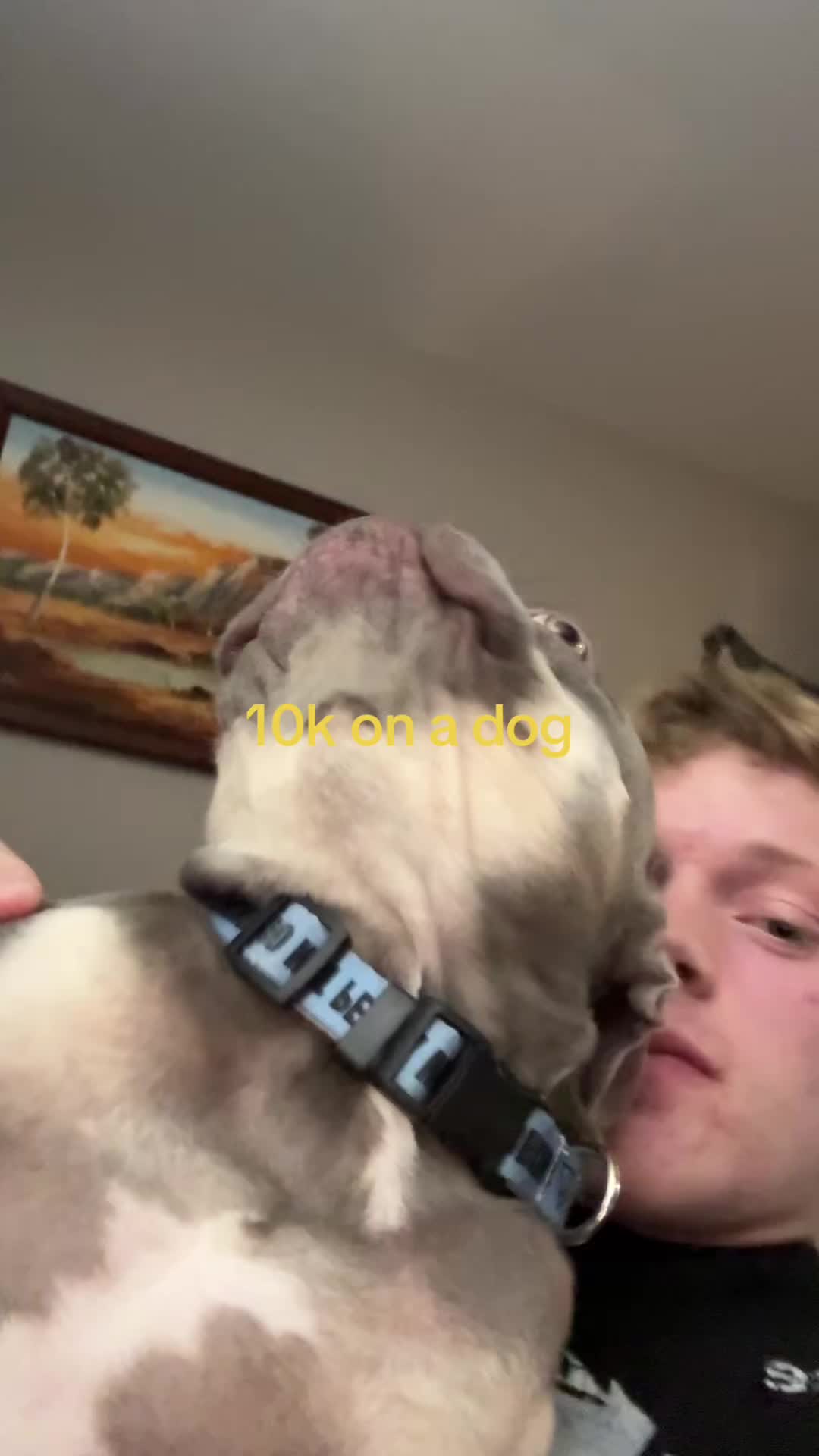 @Charliegud2