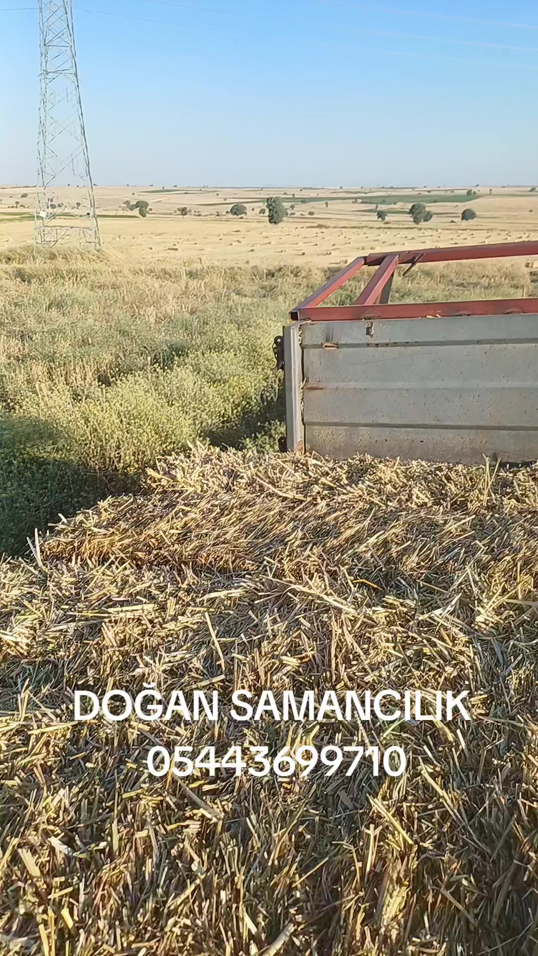 @Hamza Dogan