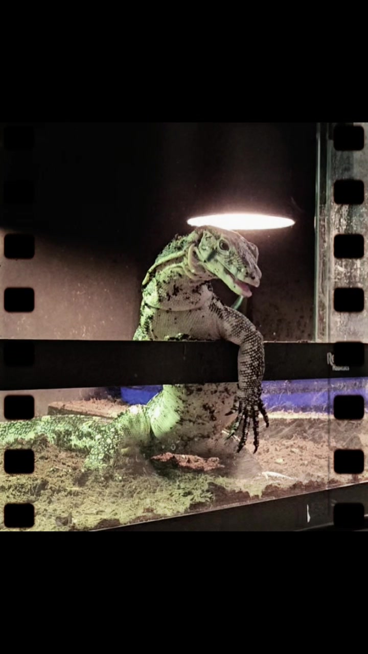 @Carl's Creature Feature