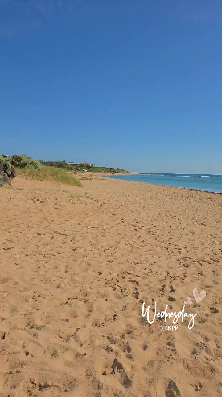 @birdyc27