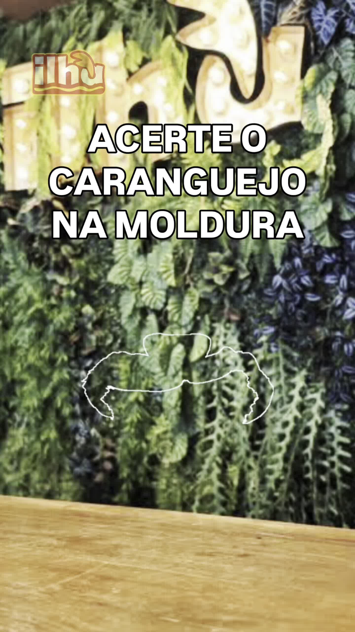 @ilhadocaranguejo