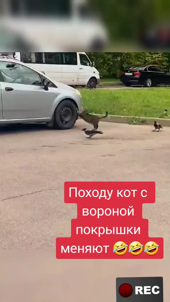 @Лариса