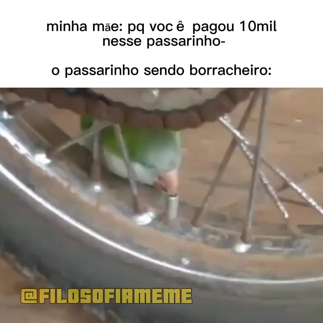 @filosofia.meme
