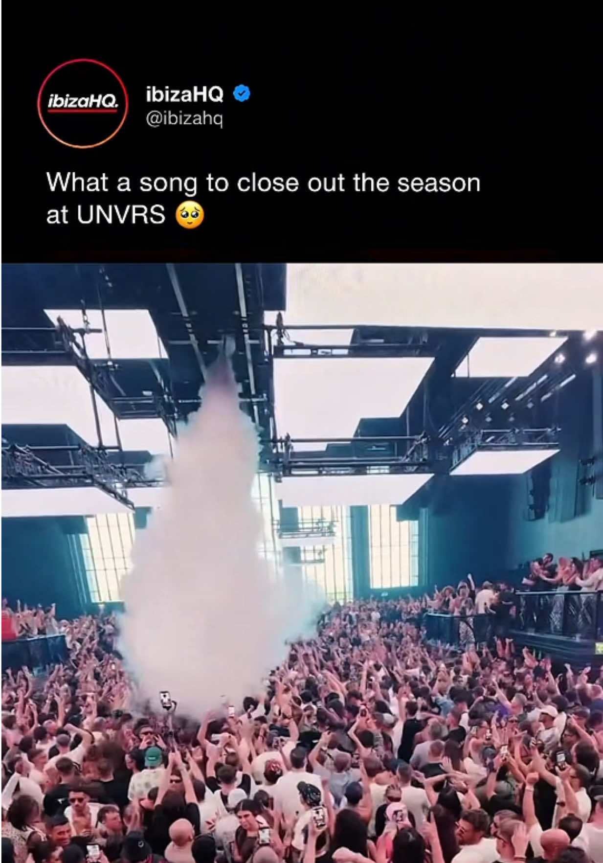 @ibizahq