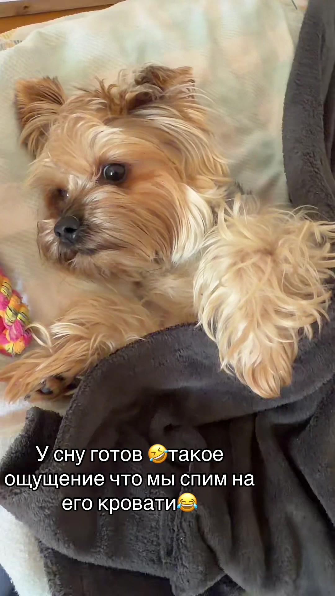 @Viktoriia Makhartova