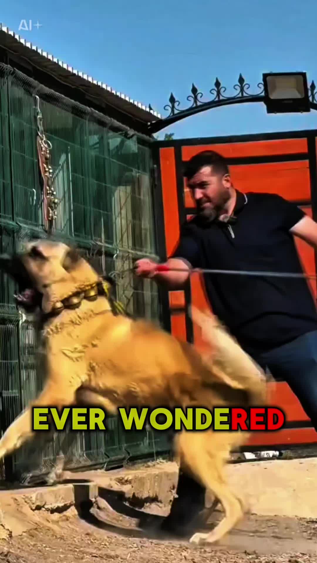 @animolfacts