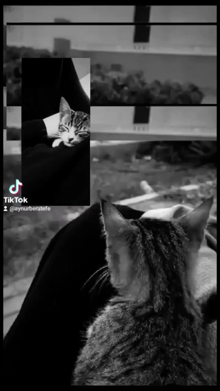 @AYNUR🌙🤍⚖️