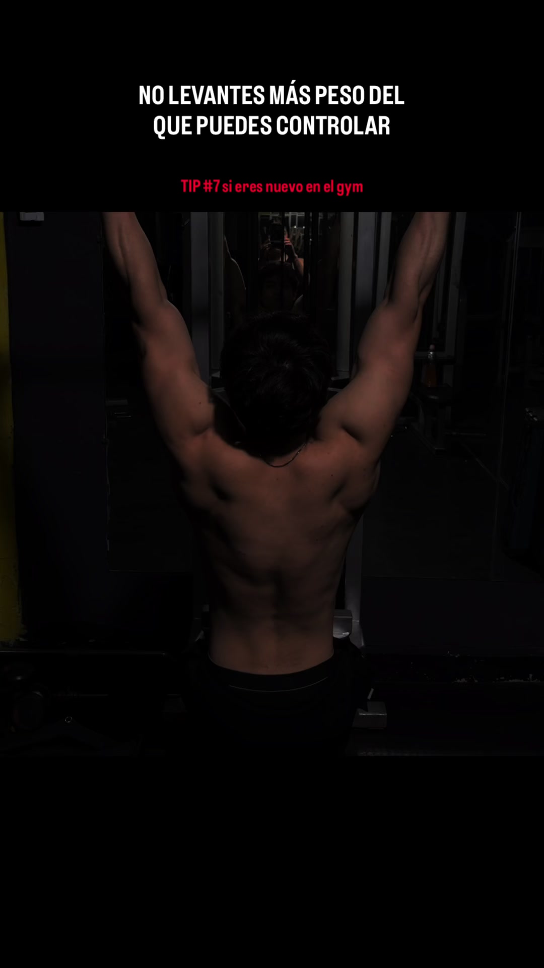 @Alaneart