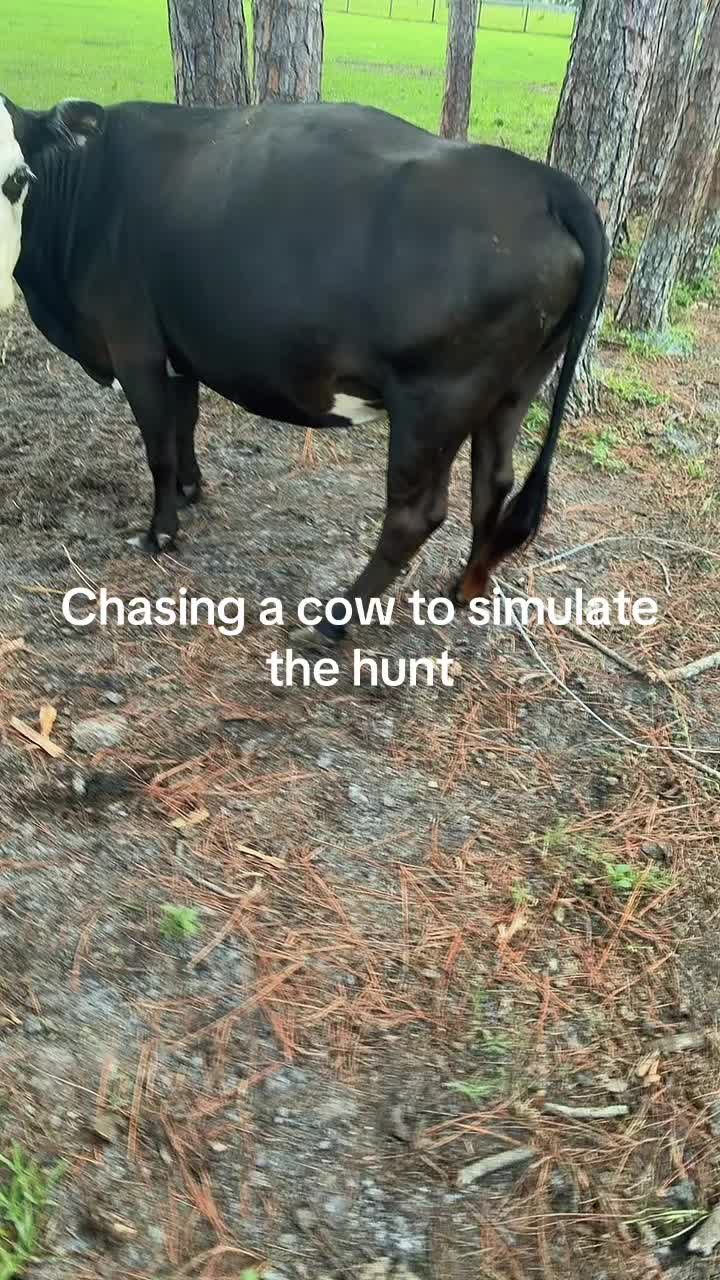 @813_jay🐂
