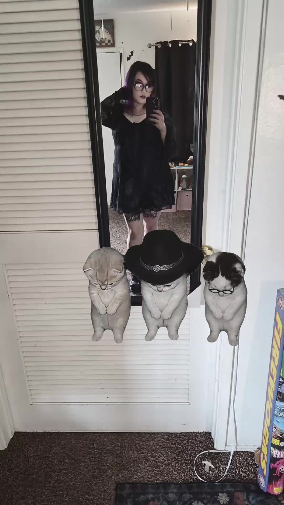 @🖤𝔖𝔥𝔶~𝔄𝔪𝔞𝔶𝔞🖤
