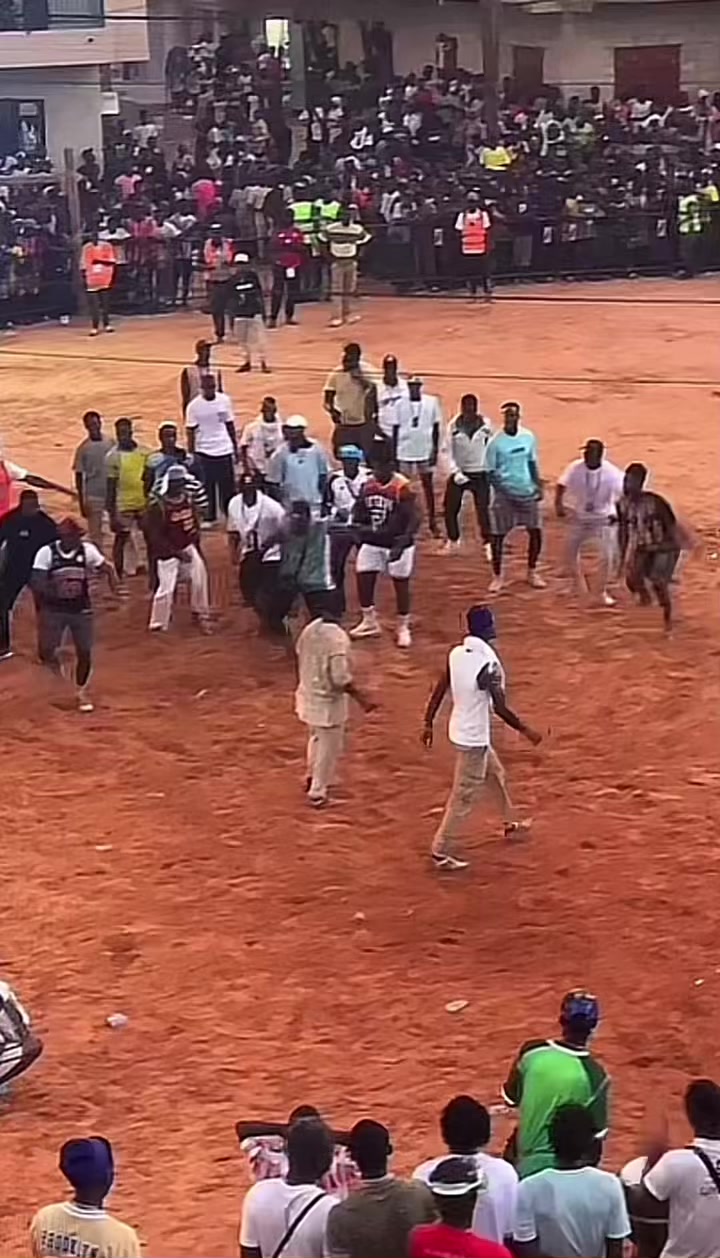 @BMF🐍🕸️