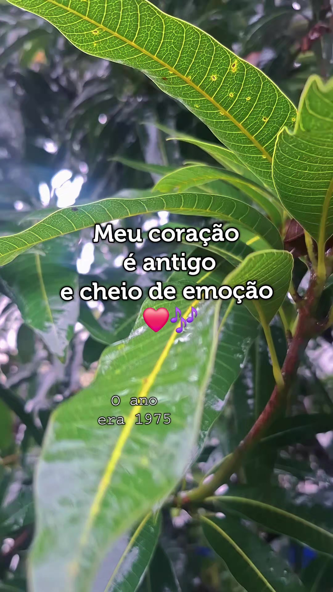 @Sereia ℂ𝕠𝕣𝕒çã𝕠𝔸𝕟𝕥𝕚𝕘𝕠