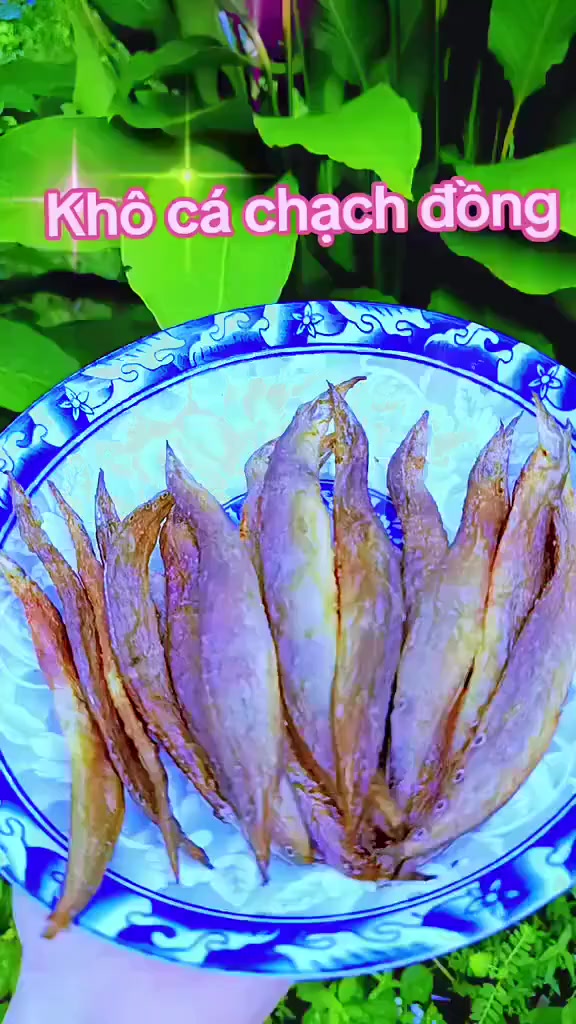 @Lạc Lạc