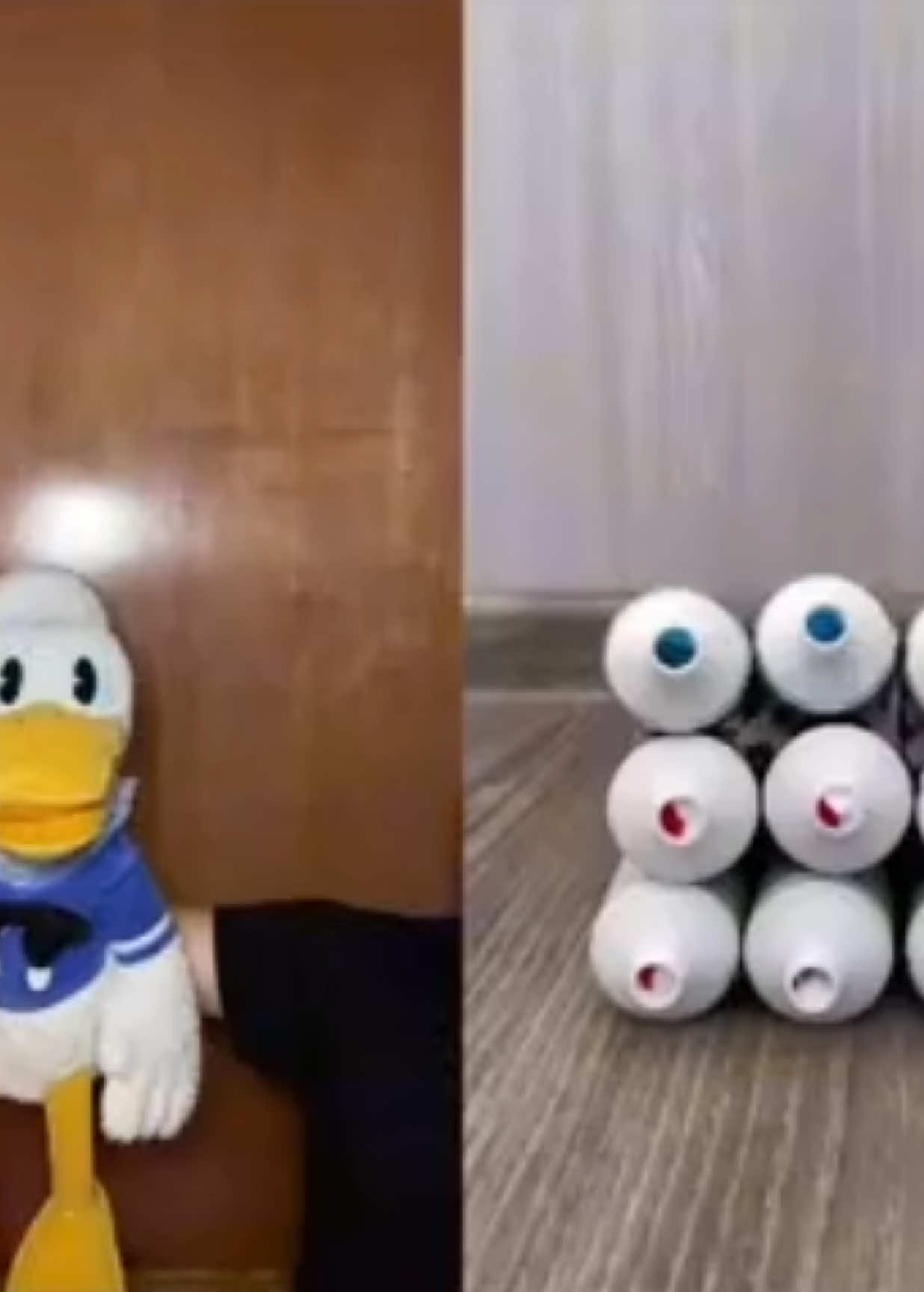 @donaldducc