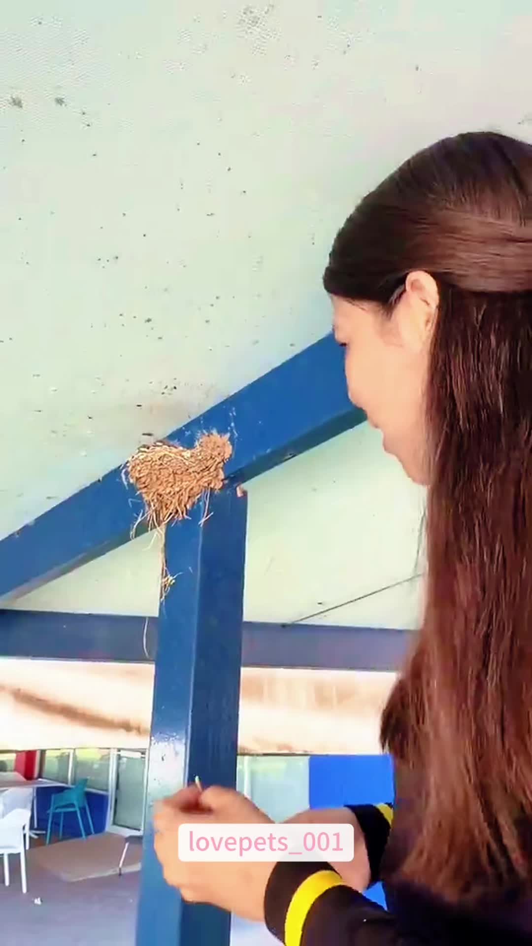 @lovepets_001
