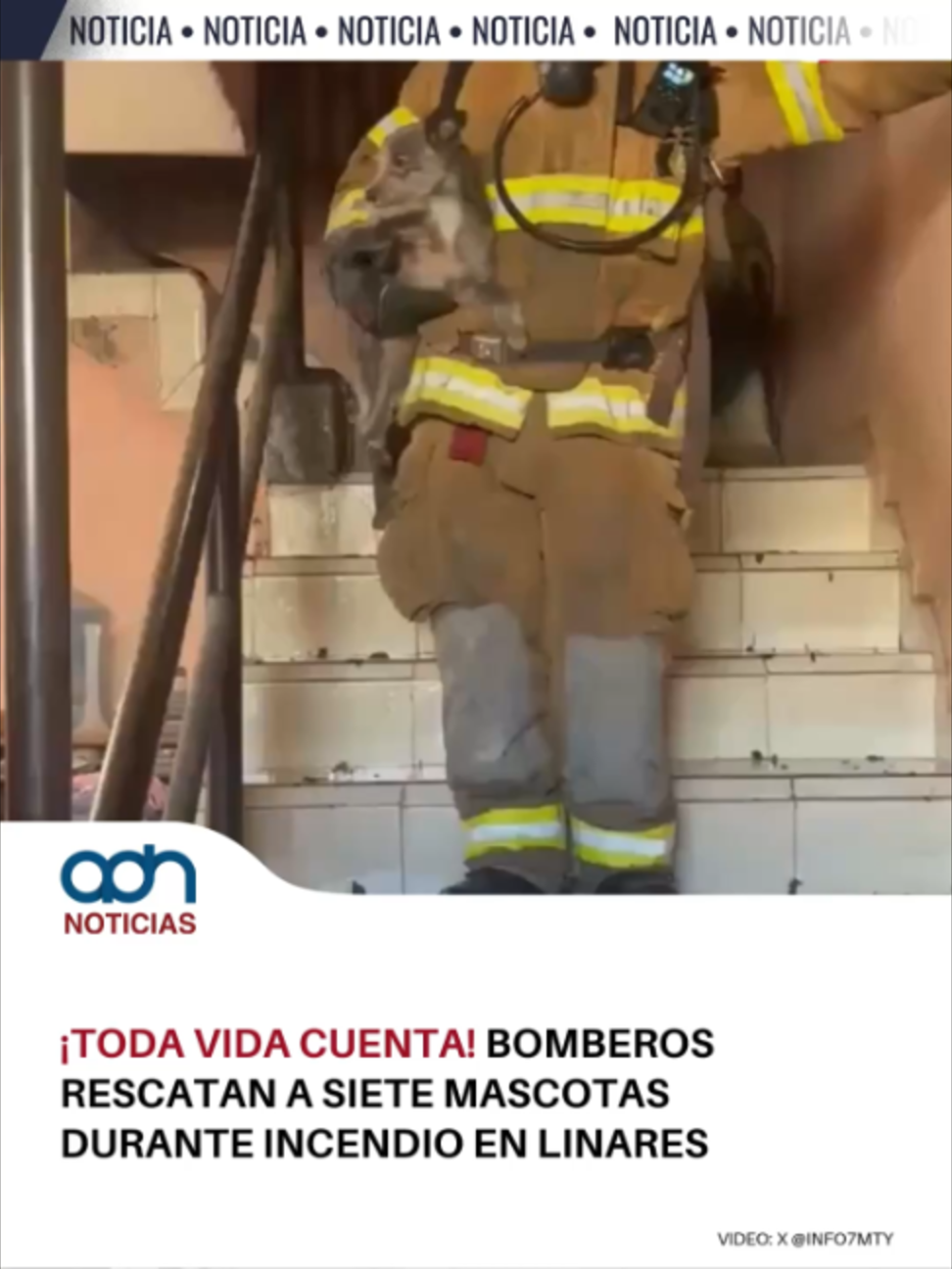 @adn Noticias