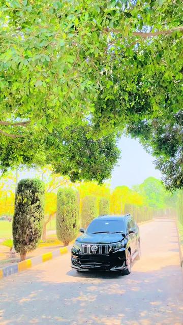 @🍁Afridi ᶠᵃʳᵐᵃⁿ🍁