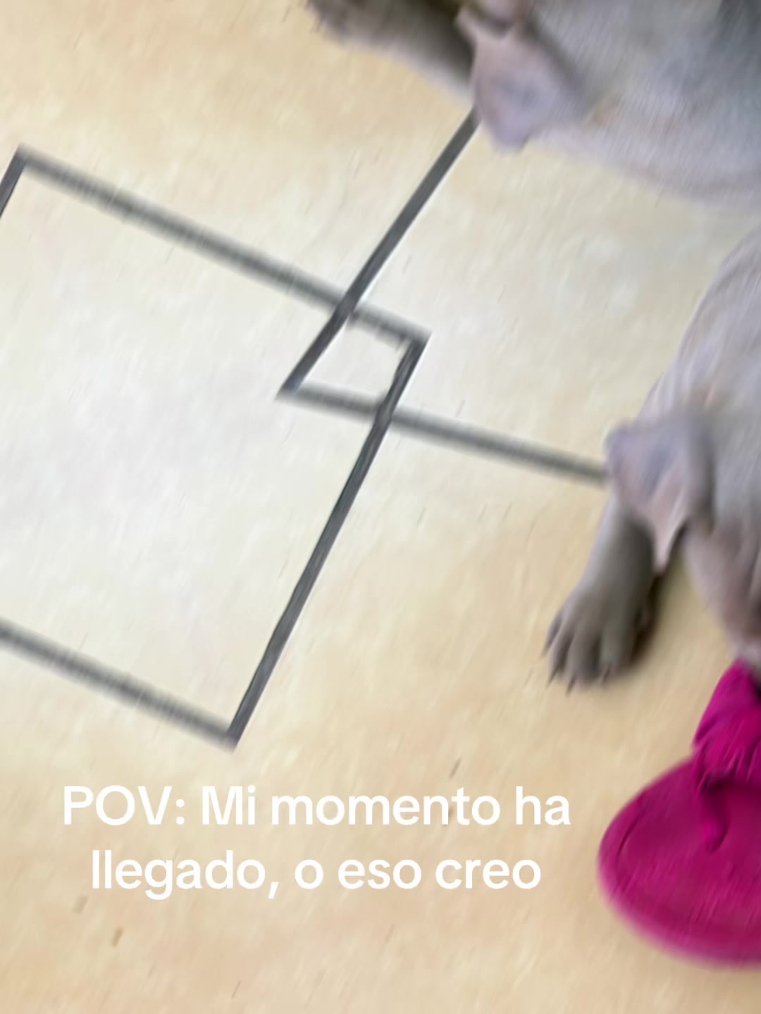 @Chanona