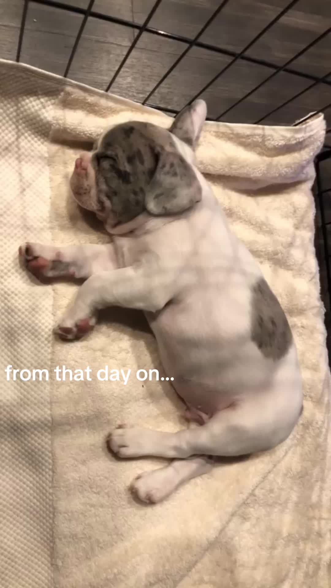 @maddsssbby