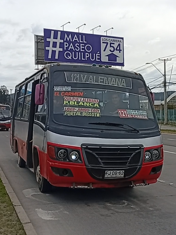 @busologia_wasabi