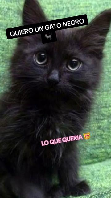 @LUPITA MARTINEZ 😻